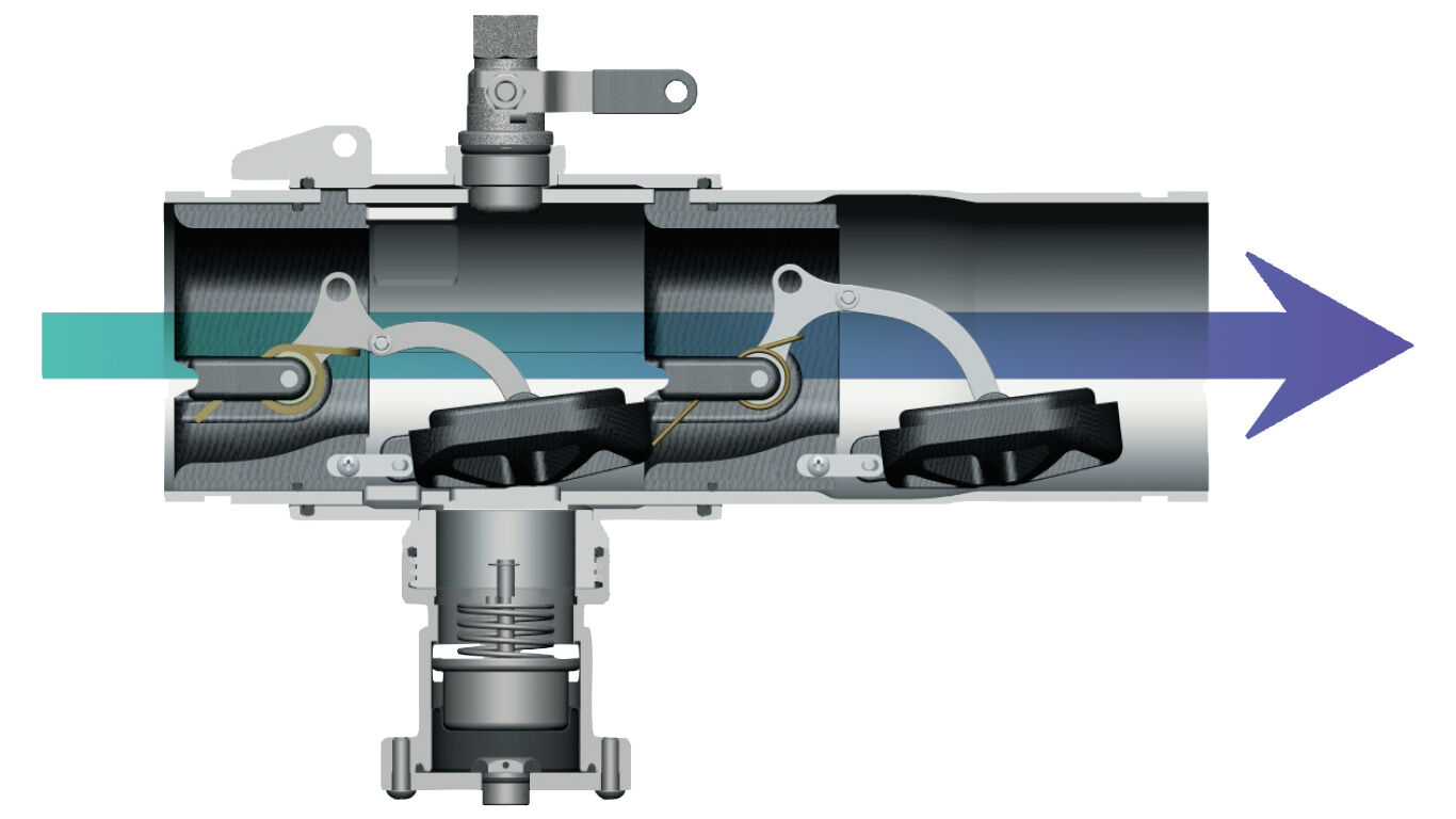 silvereagle-957967cutaway-CAD